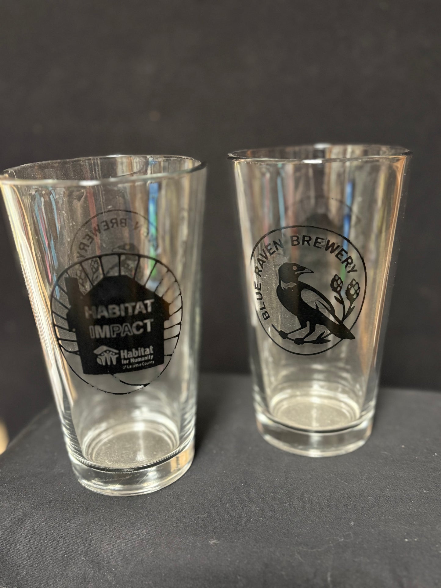 Habitat Impact Pint Glass