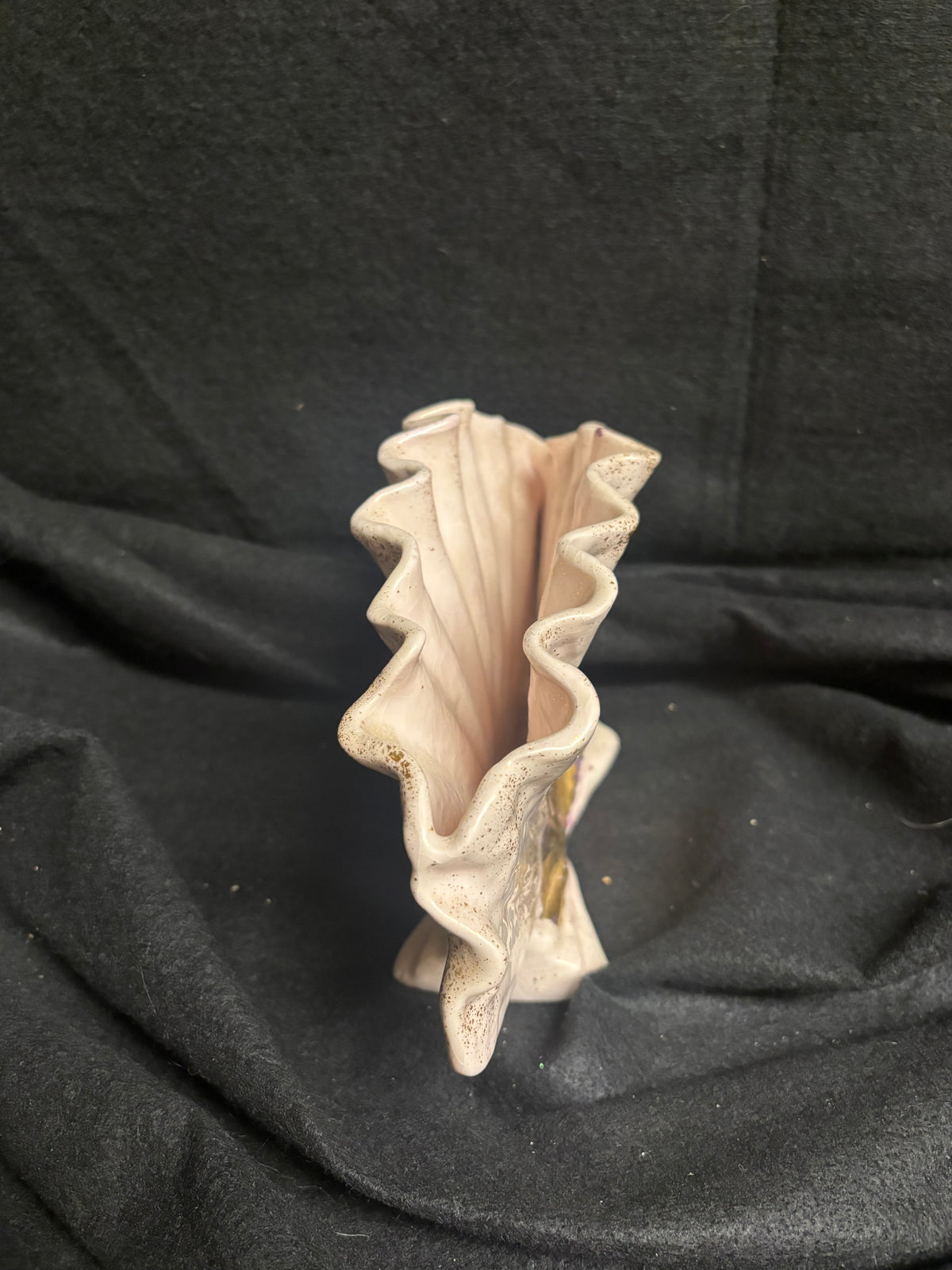 Porcelin Shell