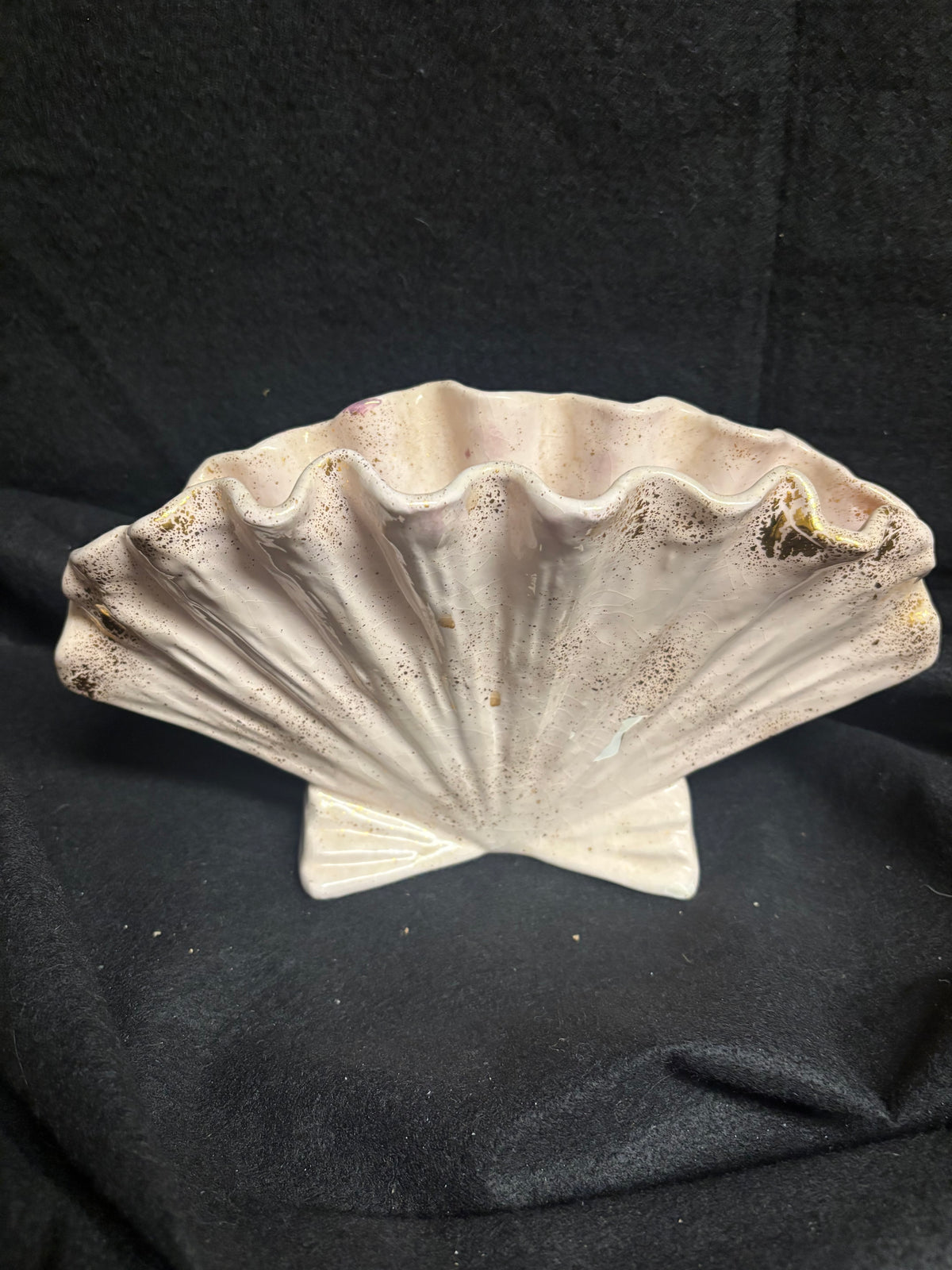Porcelin Shell