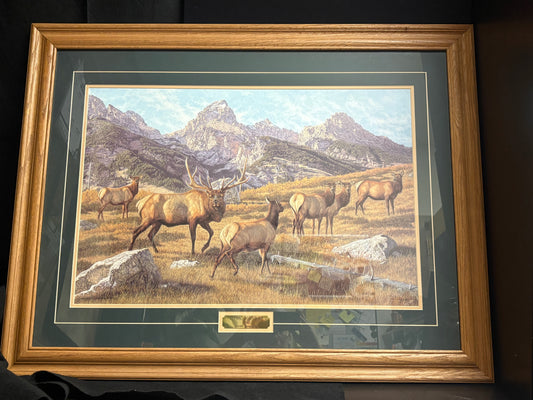 "Teton Roundup" Framed Print