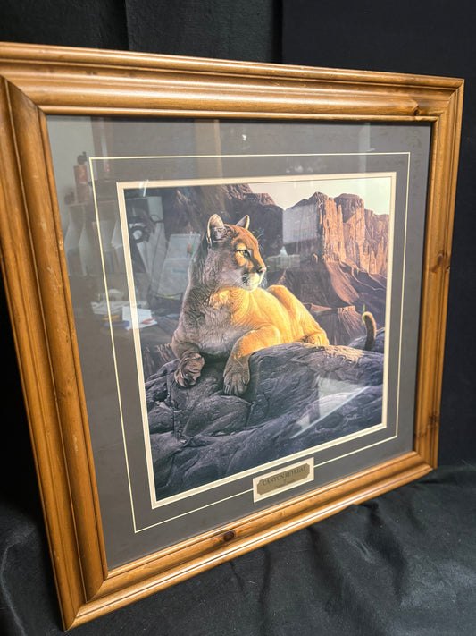 "Canyon Retreat" Framed Print